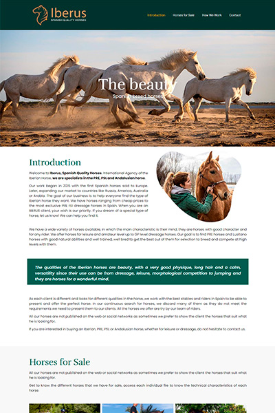 www.iberusqualityhorses.com